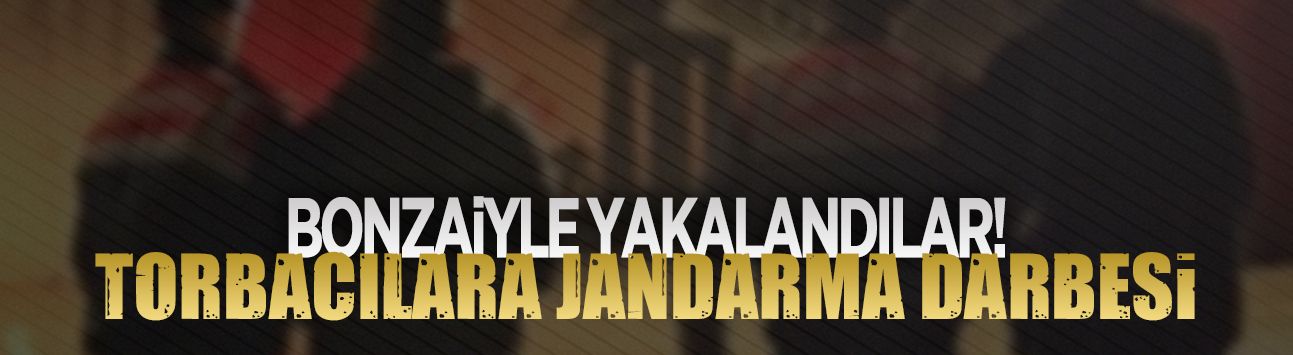 Jandarmadan Karasu’da uyuşturucu operasyonu
