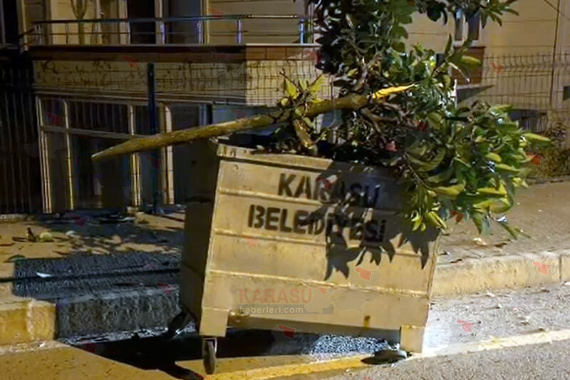 Karasu'da Polisin Dur Ihtarına Uymadı, Kaza Yaptı 6