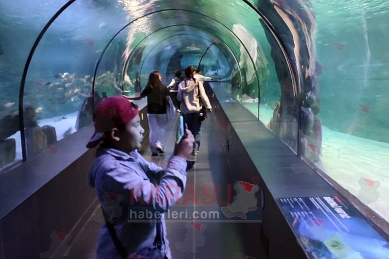 Whats App Image 2026 10 26 At 09.30.27 (4)