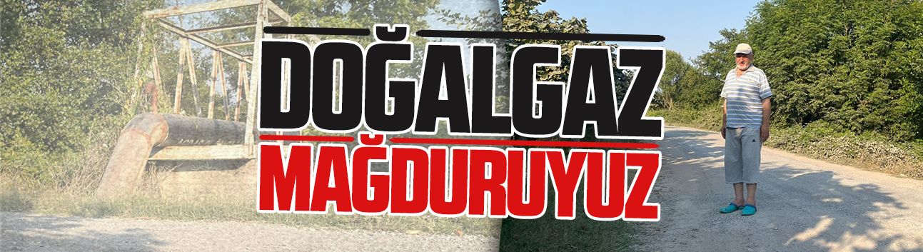 İbrahim Durdubaş: Doğalgaz mağduruyuz