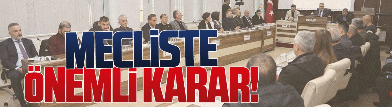 Karasu’nun 27 mahallesine doğalgaz için meclisten karar