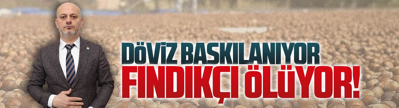 Hasan Sarıoğlu: Döviz baskılanıyor fındıkçı ölüyor