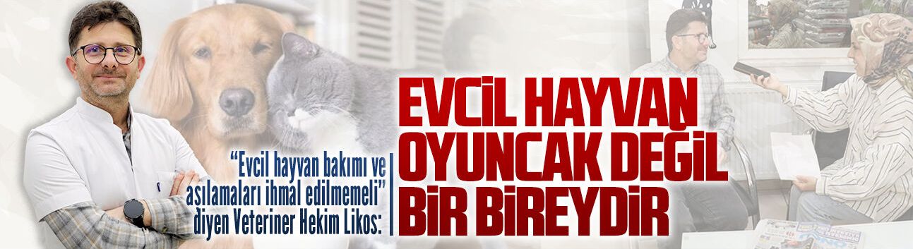 Veteriner Hekim Likos’tan evcil hayvan ile ilgili önemi mesajlar